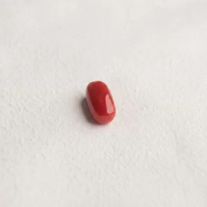 Red Coral (Moonga) - Cylindrical Capsule Cut