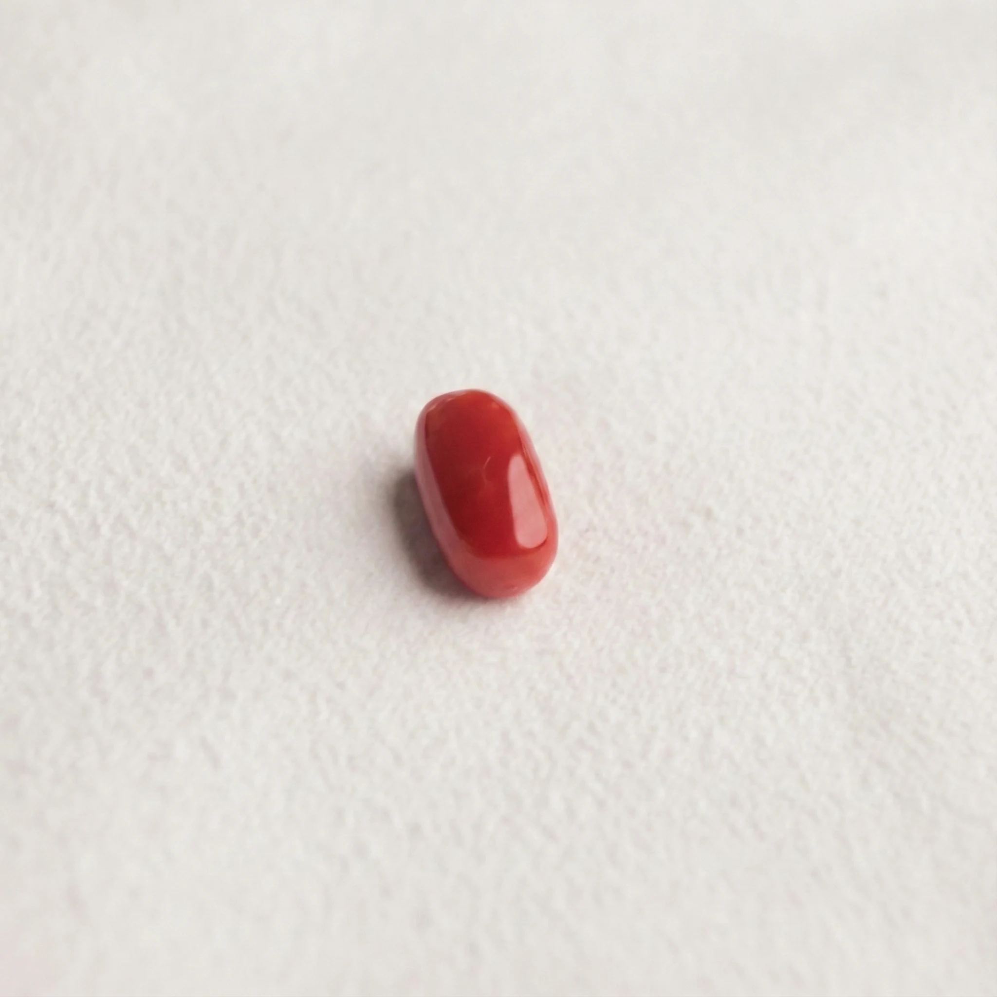 Red Coral (Moonga) - Cylindrical Capsule Cut
